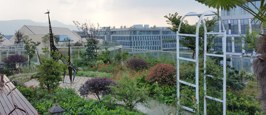 南京萬(wàn)通城市建設設計院弱電系統項目案例。
